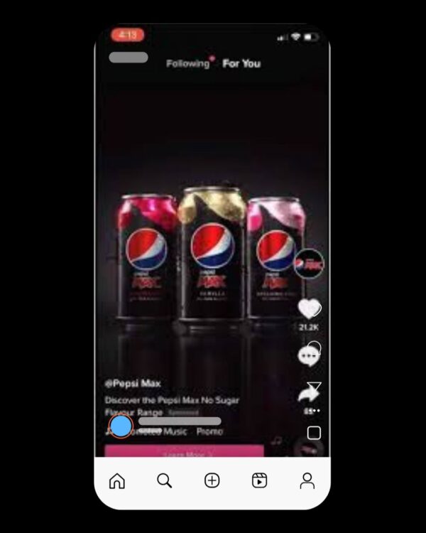 TIKTOK ADS